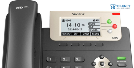 VoIP Telephone Service